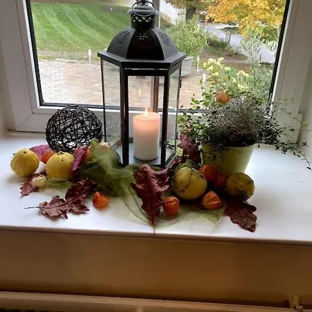 Apartment Gemütliches In Ruhiger Lage. Moringen